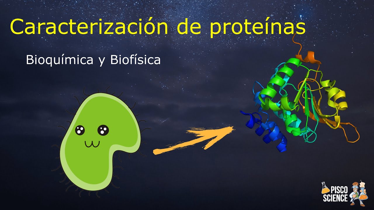 Caracterización de Proteínas Recombinantes