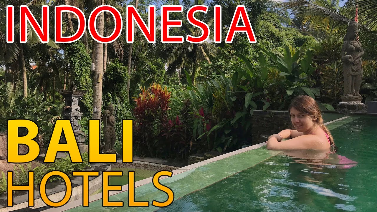 Rajskie HOTELE na BALI - jak wyglądają i ile kosztują ? Małpie sanktuarium w Ubud (6)