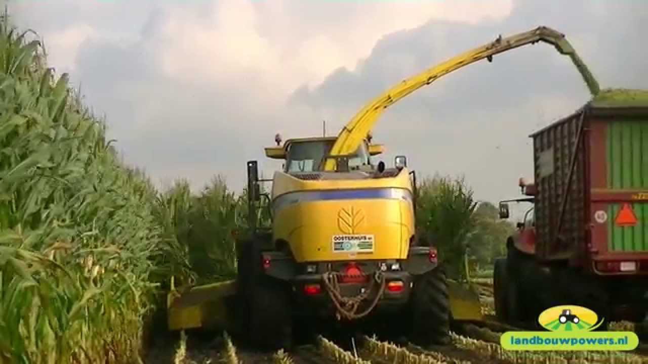 Mais hakselen met loonbedrijf Oosterhuis Nijeveen