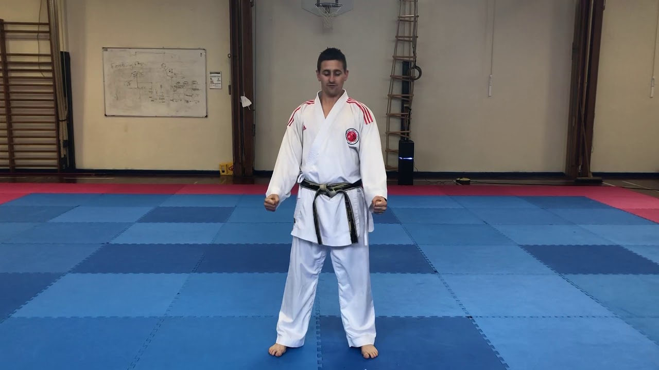 Kata Tutorial - Pinan Shodan - Blue belt