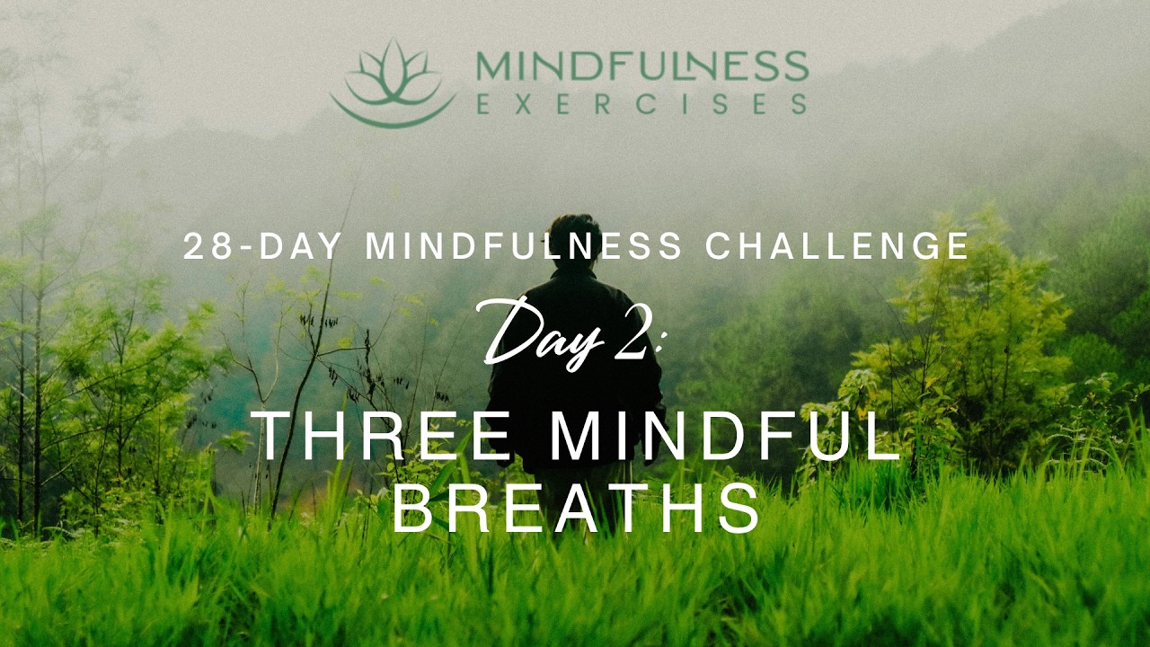Three Mindful Breaths - Guided Mindfulness Meditation