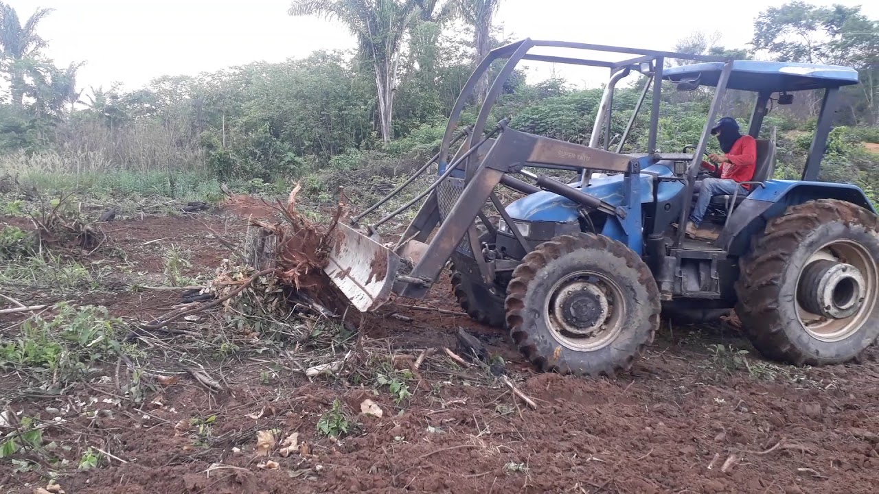 Trator TL 100 o melhor trator para lamina
