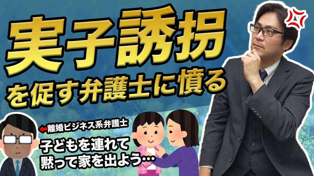 【ゆるめ動画】実子誘拐を進めるビジネス系の離婚弁護士に憤る