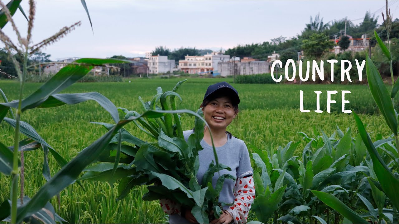 Rural Life in China: Collect Eggs, Farm Work, Visit 91 Years Old Grandma...