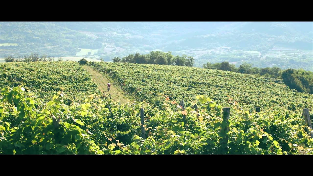 Cycling In Istria