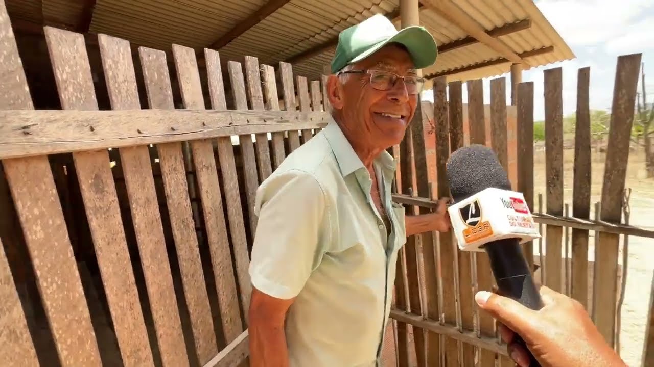Maior Carneiro do Sertão em São José da Tapera - AL 05 - 02 - 2026 #nordeste