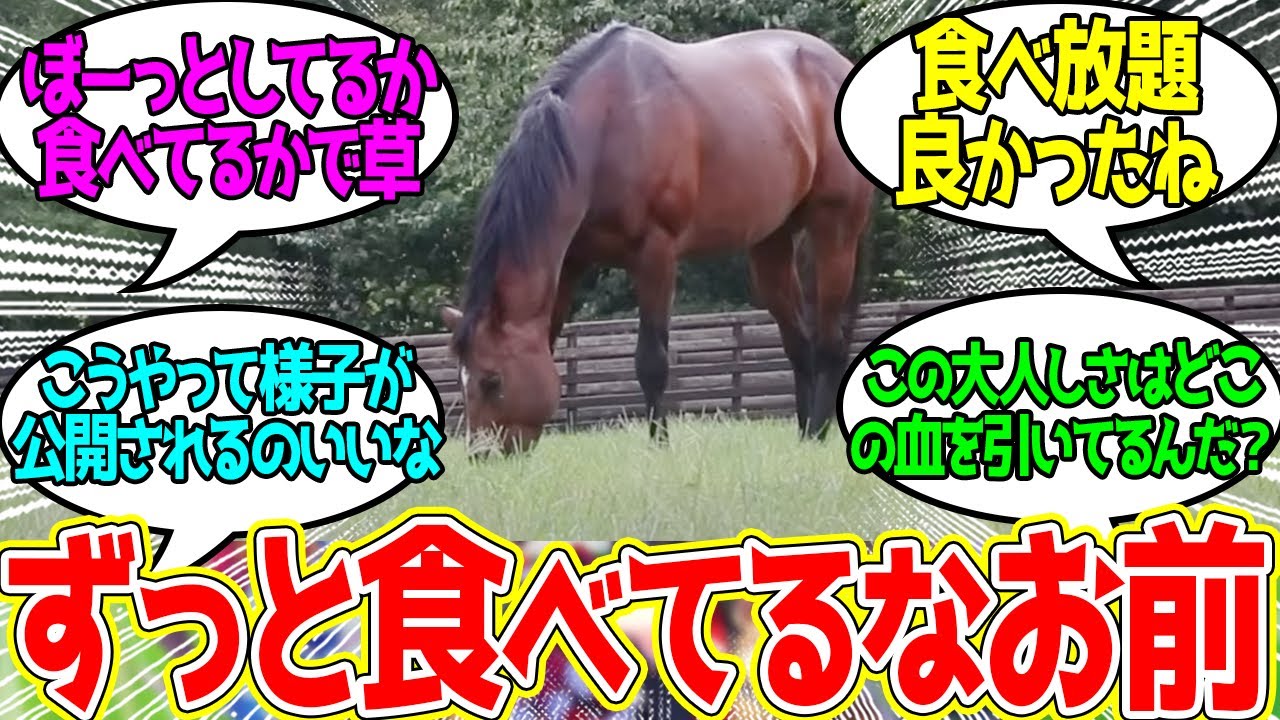 最新のドウデュース ← 元気そうでなにより…に対するみんなの反応！【競馬 の反応集】