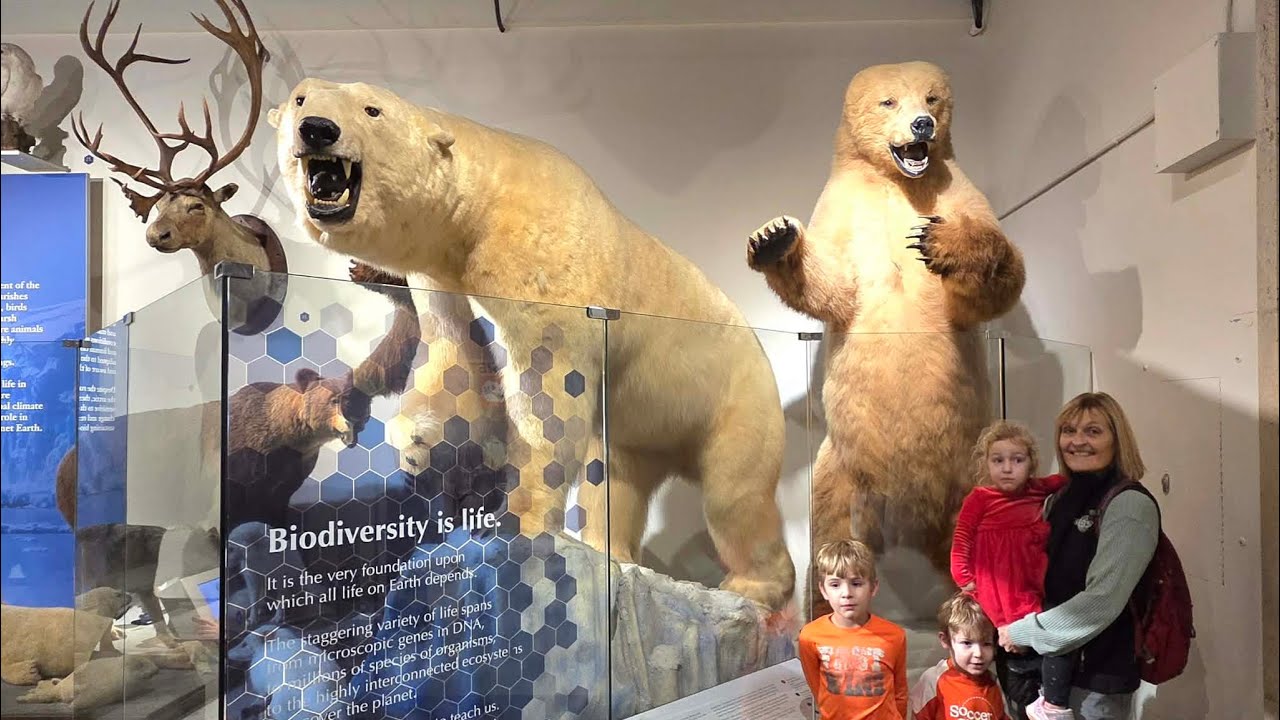 Kids Explore Buffalo Science Museum | Dinosaurs, Plasma Balls, and Acrobats