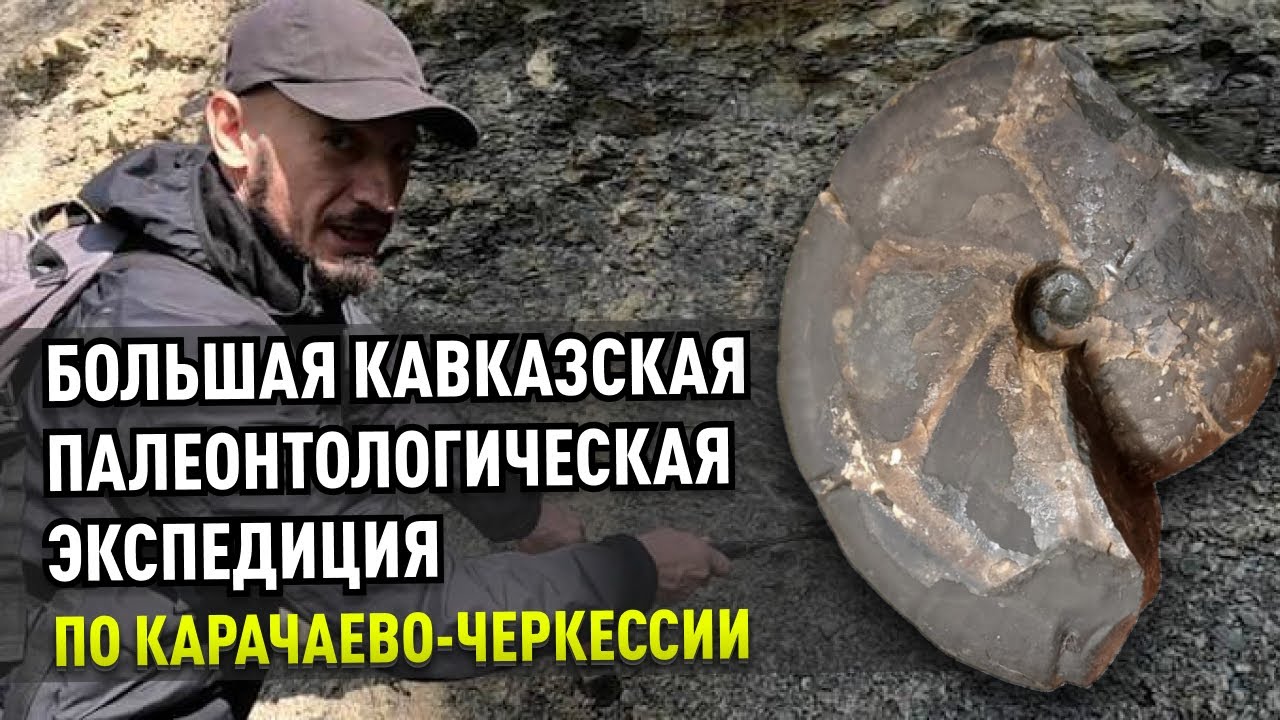 Палеонтологи в Карачаево-Черкессии. Большая экспедиция за аммонитами по Северному Кавказу