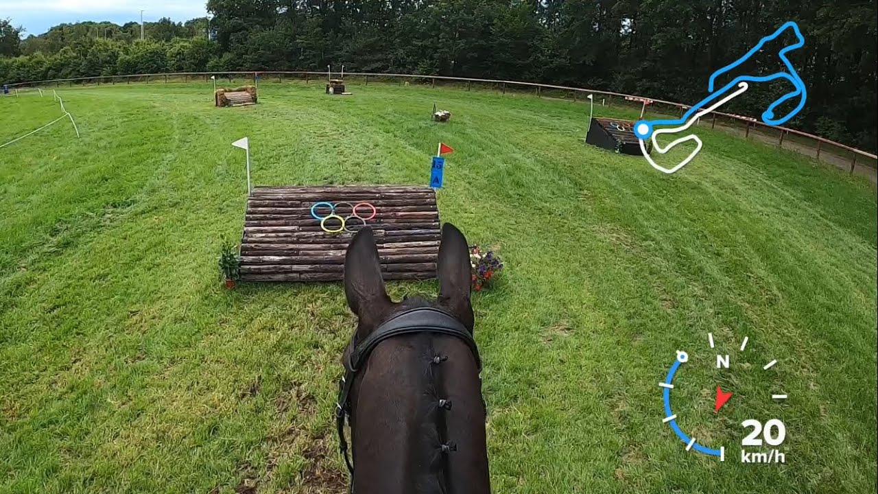 30 juni 2024 ~ SGW Markelo Snorrewind ~ L-paarden