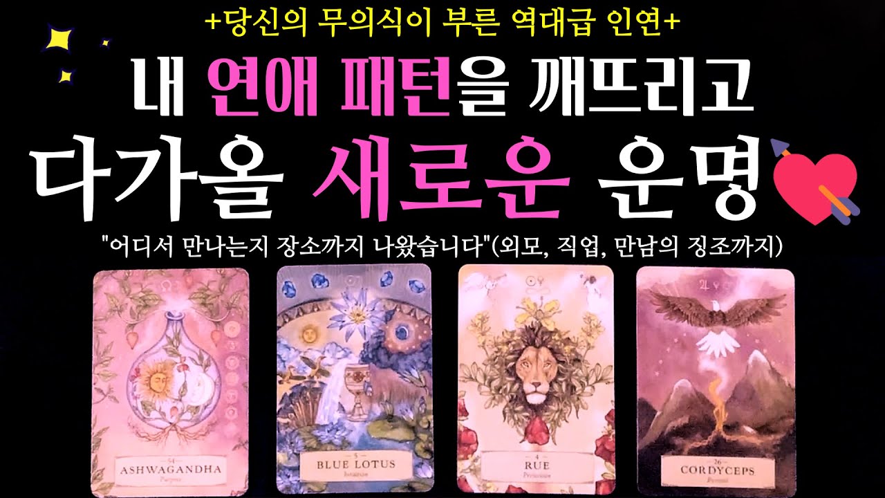 [소름주의]🌹내 연애패턴을 깨뜨리고 다가올 새로운 운명💘점 찍듯 알려주는 인연의 특징! #새로운연애 #운명의상대 #무의식 #외모 #직업 #만남의장소 #솔로탈출 #소울메이트 #