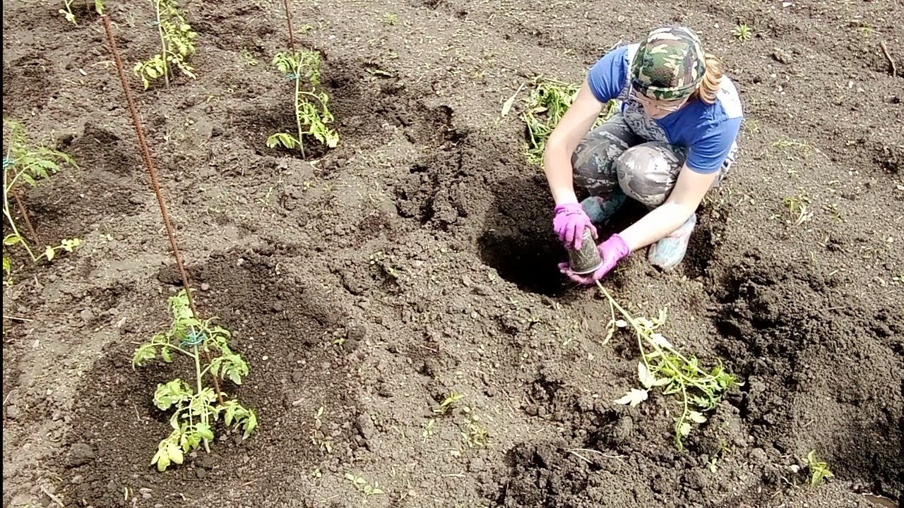 Два дня на огороде/Сто корней табака/ Съели яблоню