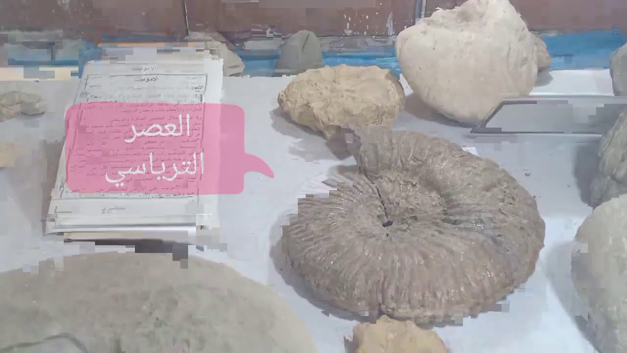 رحلة في المتحف الجيولوجي 1