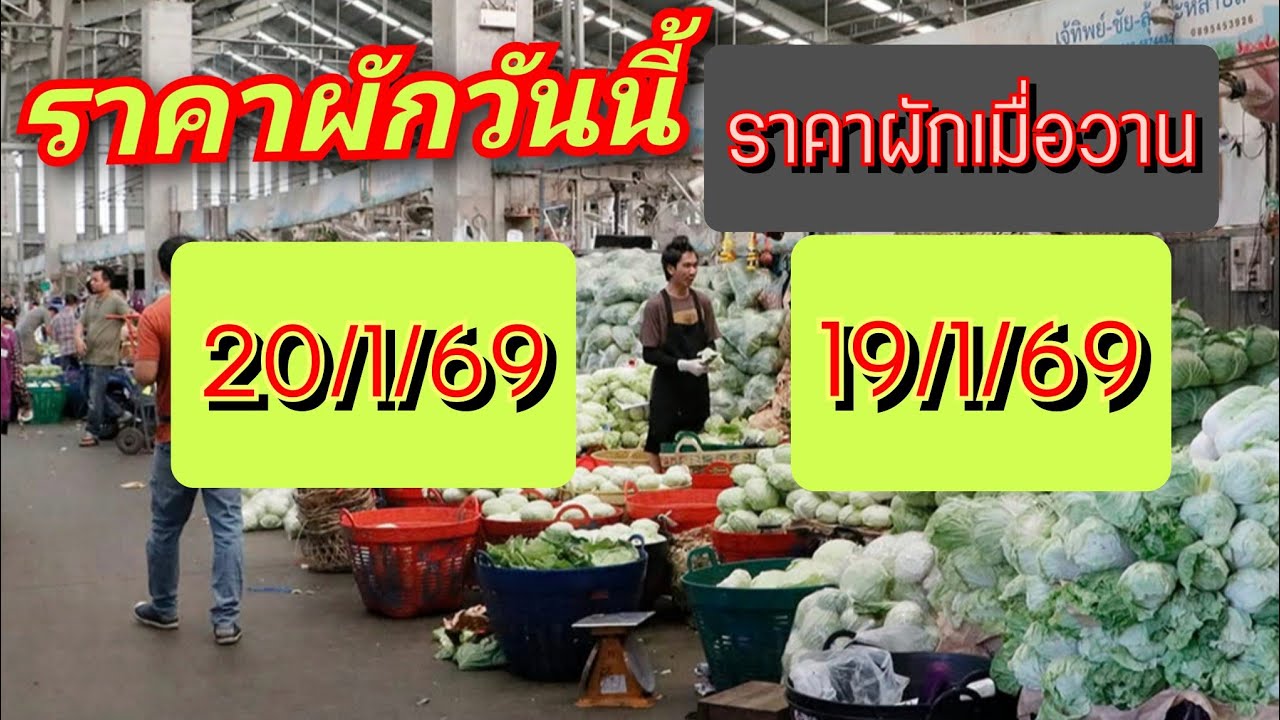 สรุปราคาผักวันนี้ 20/1/69  ต่อราคาผักเมื่อวาน19/1/69 นาทีที่ 8.30 