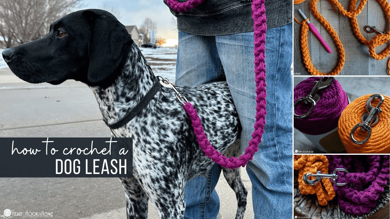 How to Crochet a Dog Leash