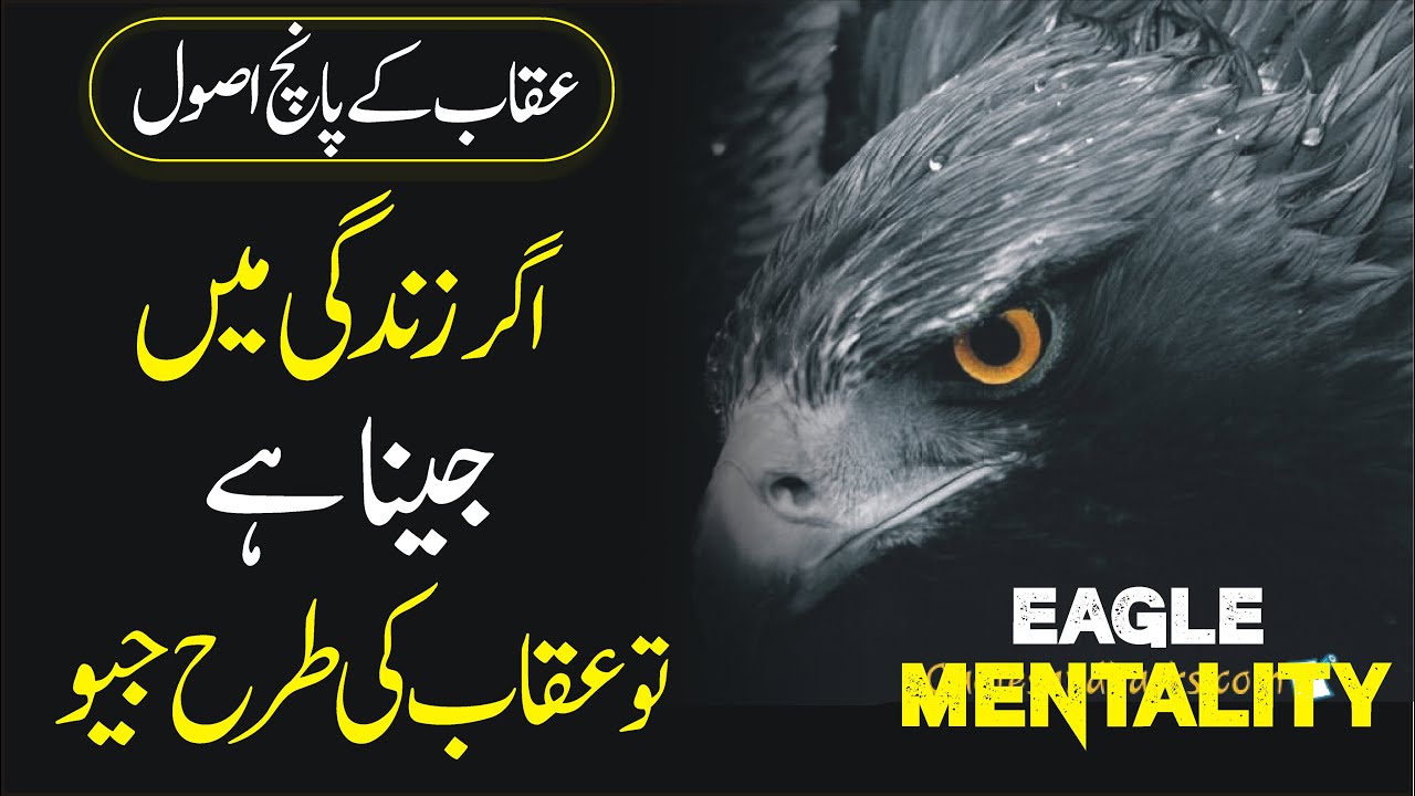 Eagle Mentality What makes Eagle King of Birds Best Powerful Motivational Video by Atif Khan