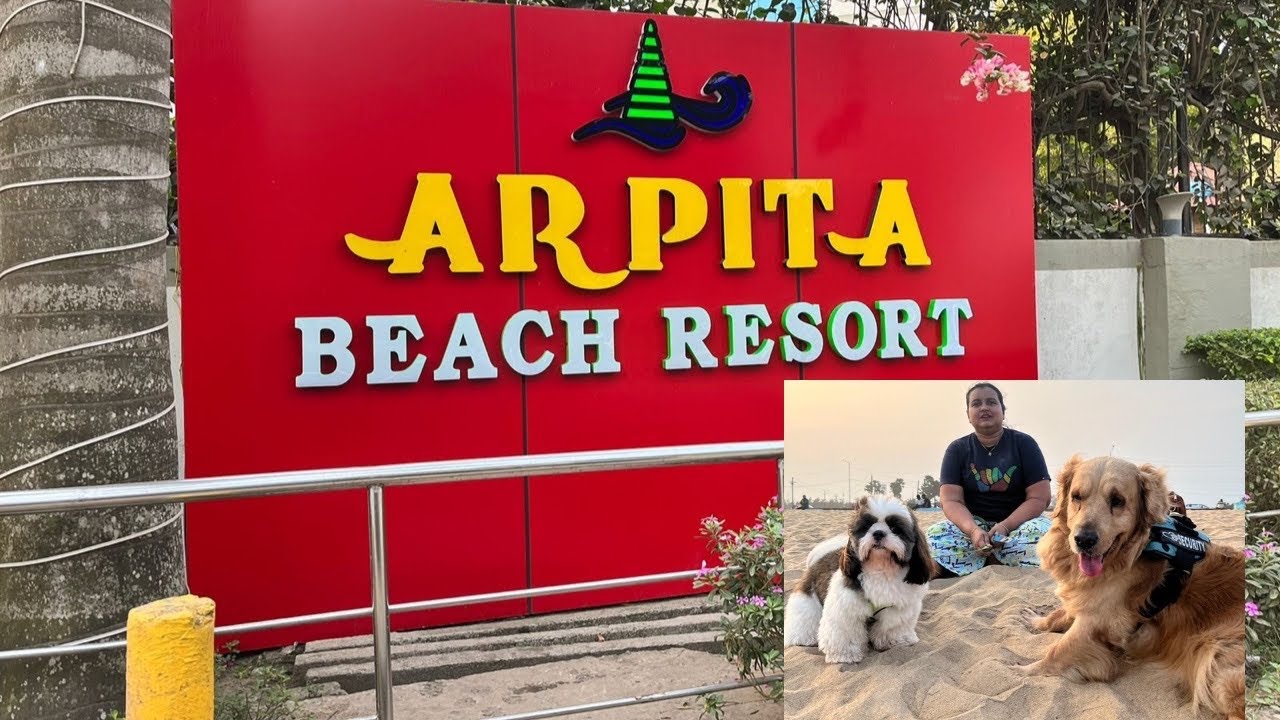 Check before Booking | HONEST REVIEW - ARPITA BEACH RESORT| ROOM TOUR | Pet Friendly 🏝️ 💯 🐶