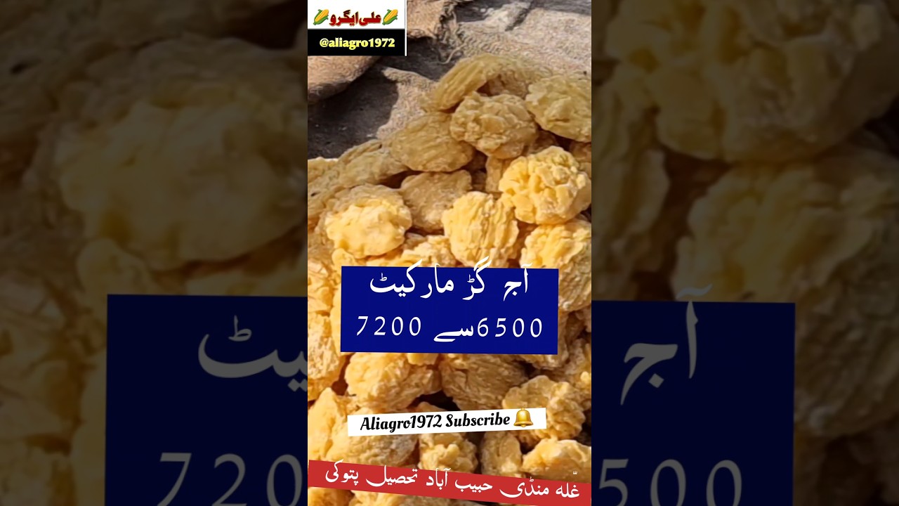 Gur Rates Today 🔥 #gurrates #shorts #ghallamandi