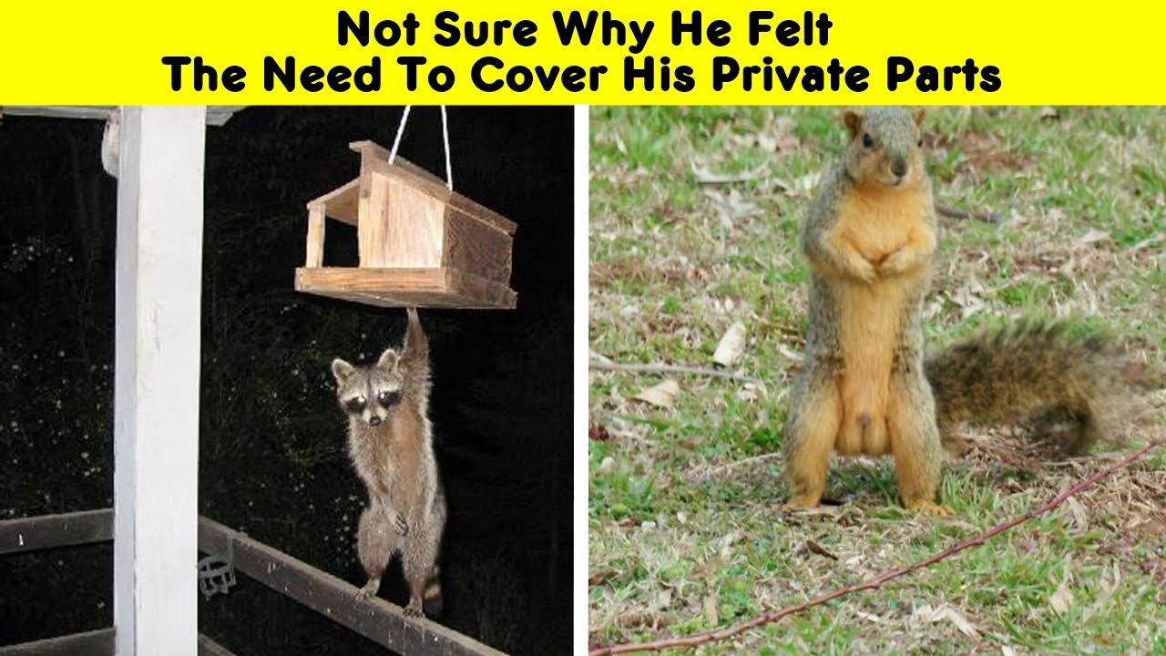 This Facebook Group Is All About Poor Wildlife Photos And They Are So Bad They’re Good
