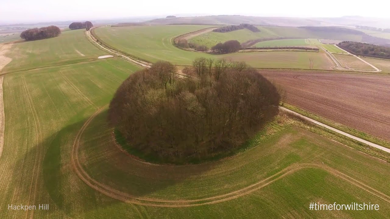 Wiltshire's Timeless Nature