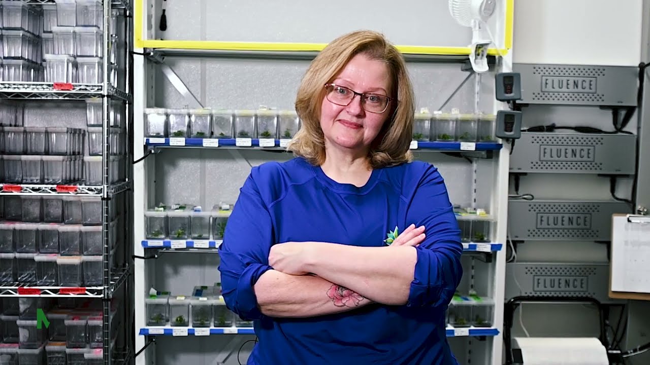 Watch how Harbor Farmz Plant Tissue Culture Lab benefited from Montel's vertical farming solutions🌱