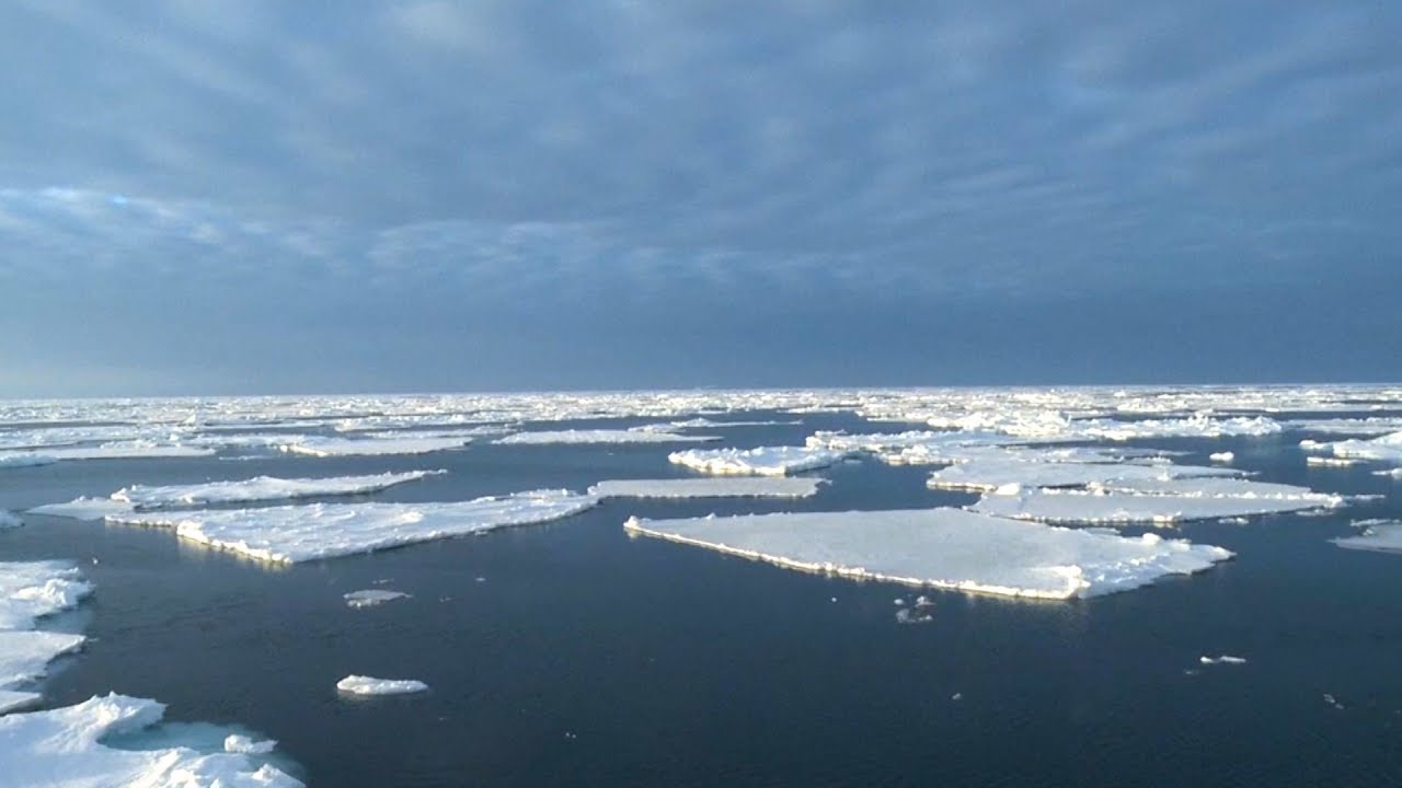 Bill McKibben: New Report Reconfirms Climate Change is Shrinking Inhabitable Parts of the Planet