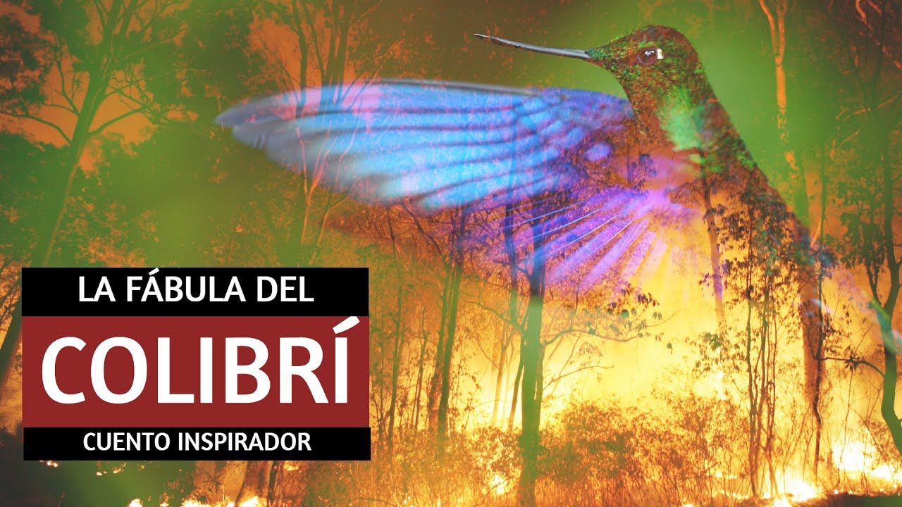 🐤🐤· Fábula del Colibrí  - Cuento inspirador para reflexionar - Leyenda popular - Superación personal