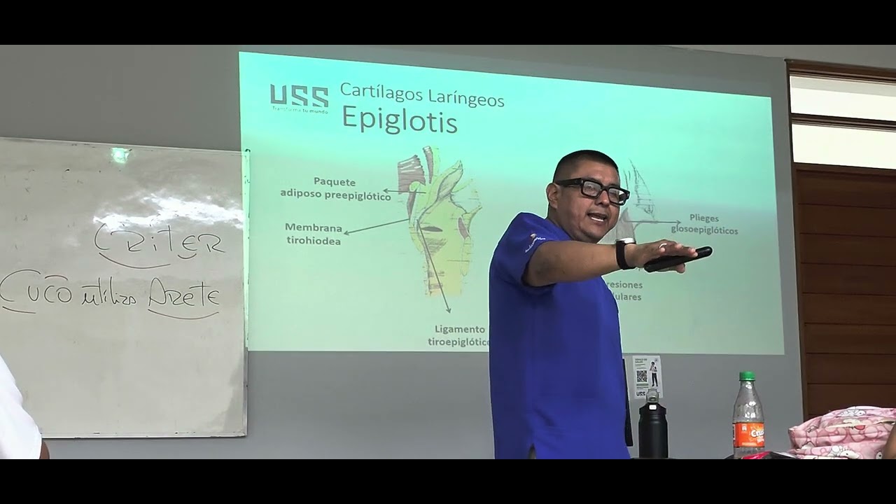 Anatomía II Teoría-Sistema Respiratorio (sesión 02)