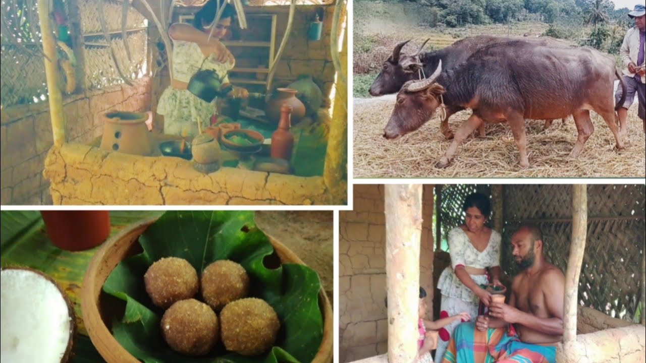 &ldquo;Village Mother&rsquo;s Full Day in Countryside 🇱🇰 | Sri Lankan Village Life🌾 | Village Home SL&rdquo;