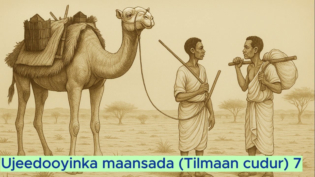 Ujeedooyinka maansada (Tilmaan cudur) 7