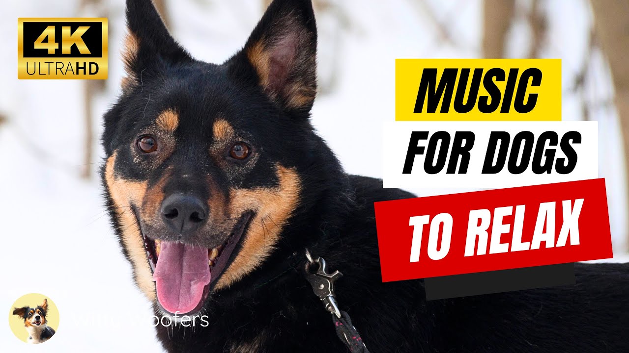 Winter Calm: Relaxing Winter Music for Mother Dogs ❄️ Witty Woofers