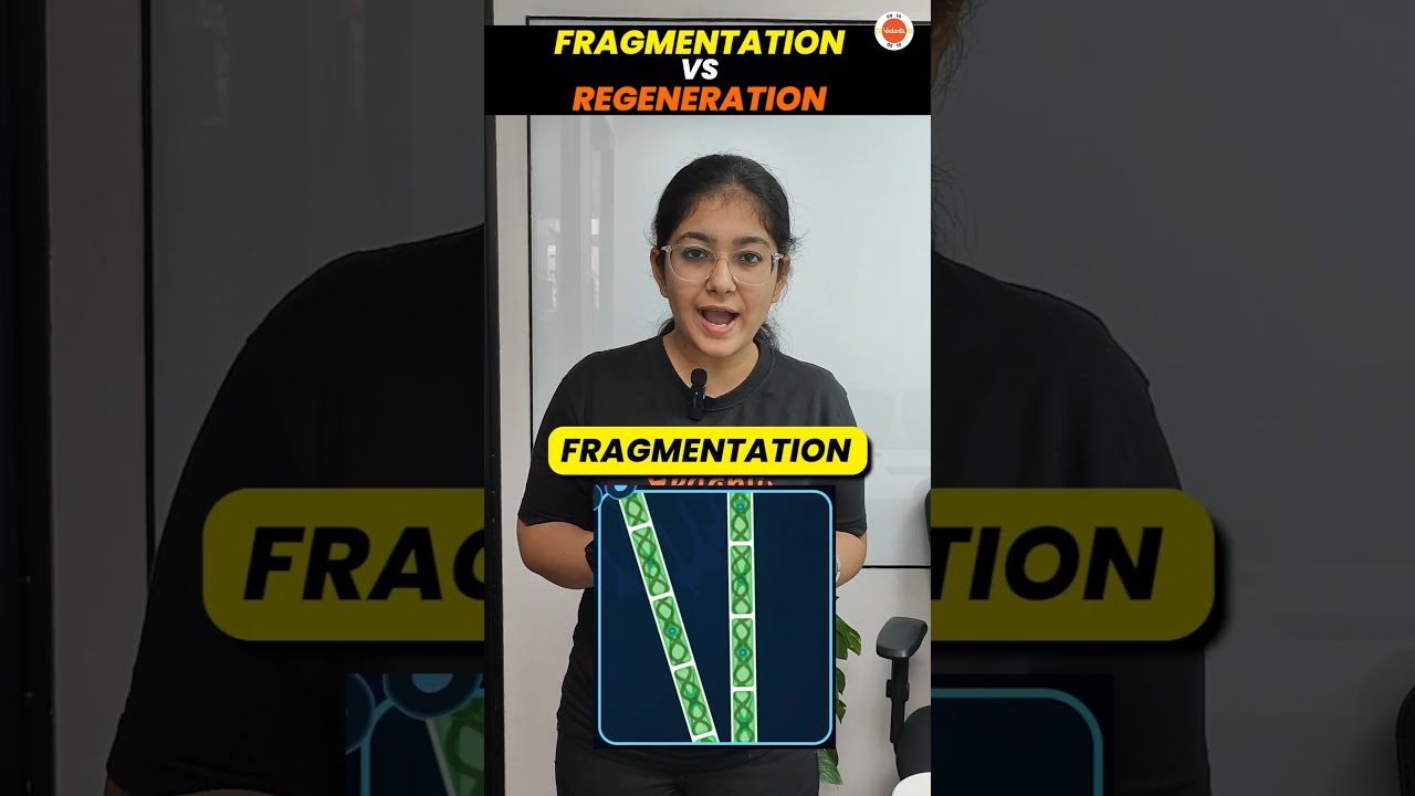 Fragmentation vs Regeneration in 60 Sec🔥| How do Organisms Reproduce Class 10 #Cbse2024 #10thScience
