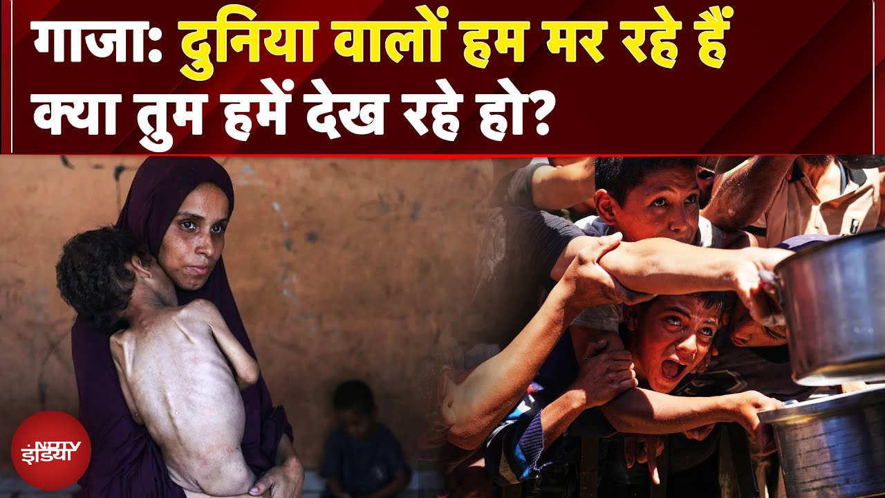 Israel Gaza War: WFP ने Gaza को 'पृथ्वी का सबसे भूखा स्थान' करार दिया है | Children Of Gaza