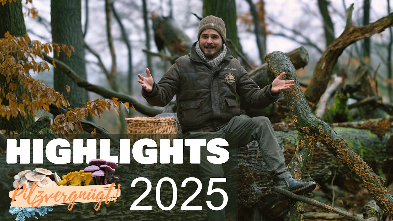 Das Pilzjahr 2025 im Jahresrückblick 🥳 Die schönsten Funde 🍄