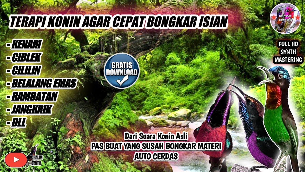 TERAPI SUARA AIR BURUNG KONIN AGAR CEPAT BONGKAR MATERI FULL ISIAN ROLL TEMBAK