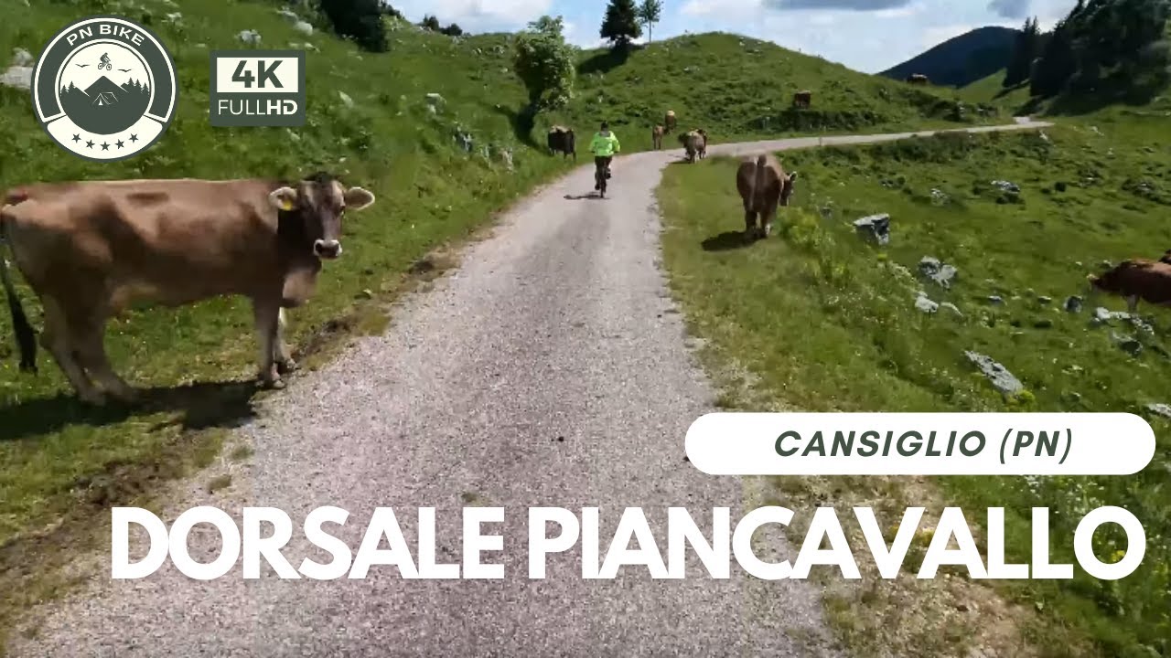 Dorsale Piancavallo - Cansiglio - Caneva - MTB 4K