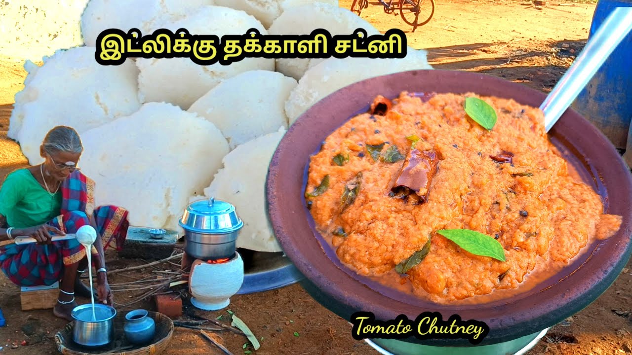 இட்லிக்கு தொட்டு சாப்பிட தக்காளி சட்னி இப்படி செய்யுங்க l tomato chutney l village samayal l grandma