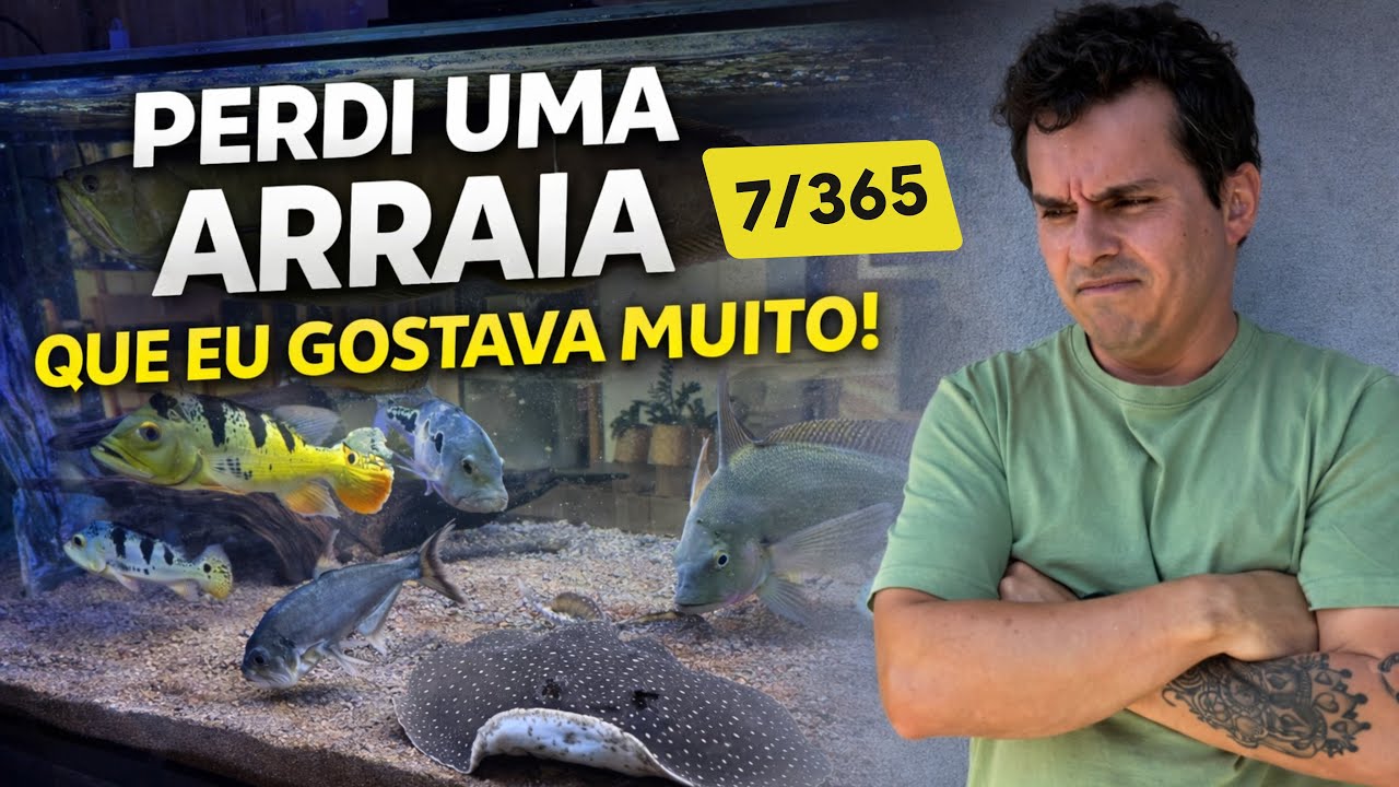 FIQUEI CHATEADO QUANDO VI, NÃO SABIA QUE ISSO PODERIA ACONTECER !