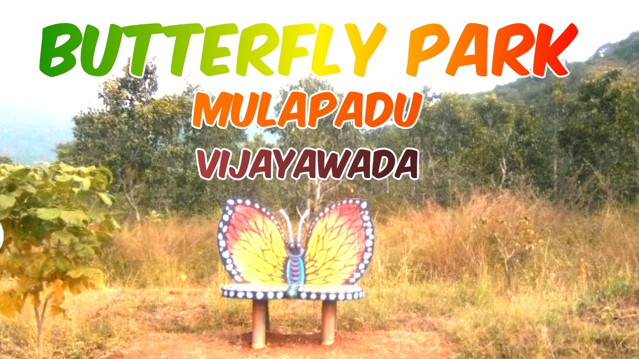 Mulapadu Butterfly Park Vijayawada | Beautiful Butterflies & Nature Walk | Aady’s Learning Zone