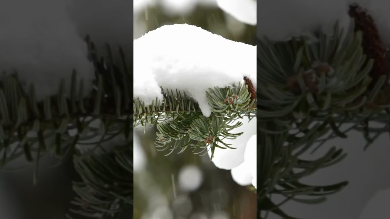 🎙️ Episode 10 — Energetic Hygiene