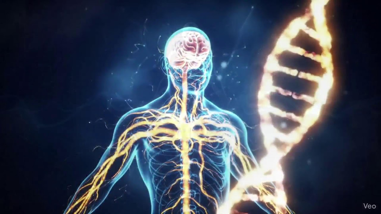 432Hz + 528Hz | Super Recovery & Healing Frequency, Whole Body Regeneration, Relieve Stress #24