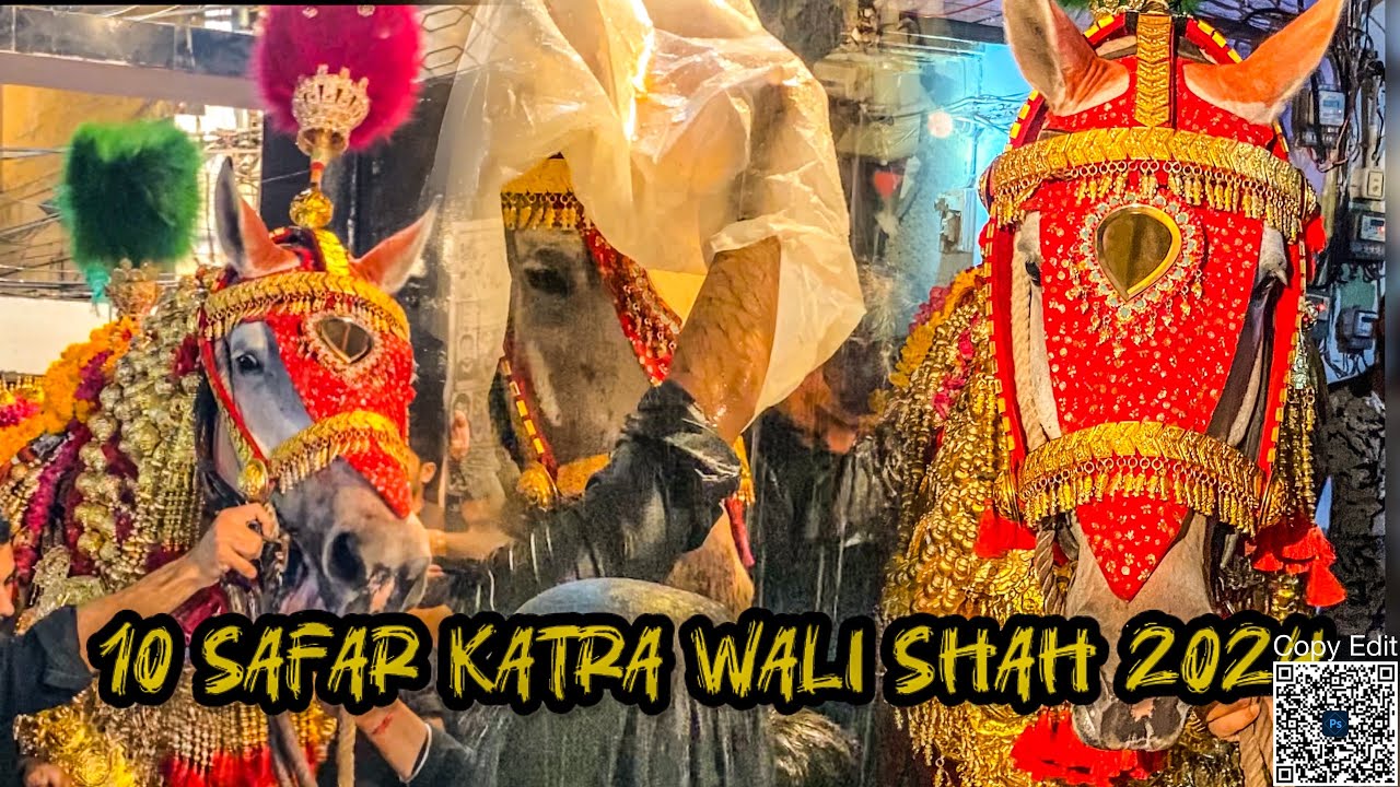 10 Safar | Zuljanah Shaheen Baba | Katra Wali Shah 2024-1446H