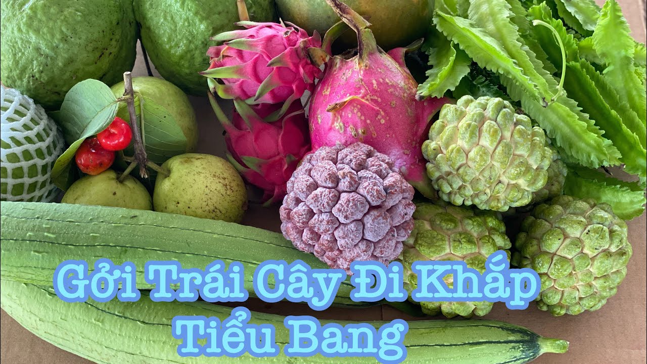 Gởi Đủ Loại Trái Cây Tươi Đi Khắp Tiểu Bang Trong Nước Mỹ | LuuLinh TV
