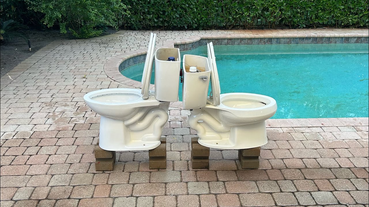2017 Costco WaterRidge dual flush toilet vs 2005 almond Kohler wellworth ingenium toilet