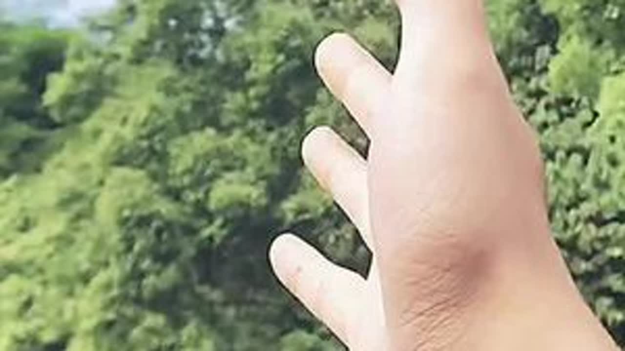 看到父母快乐，自信，健康。我更加坚信了我在做正确的事，开心#vlog日常 #365天自律挑战