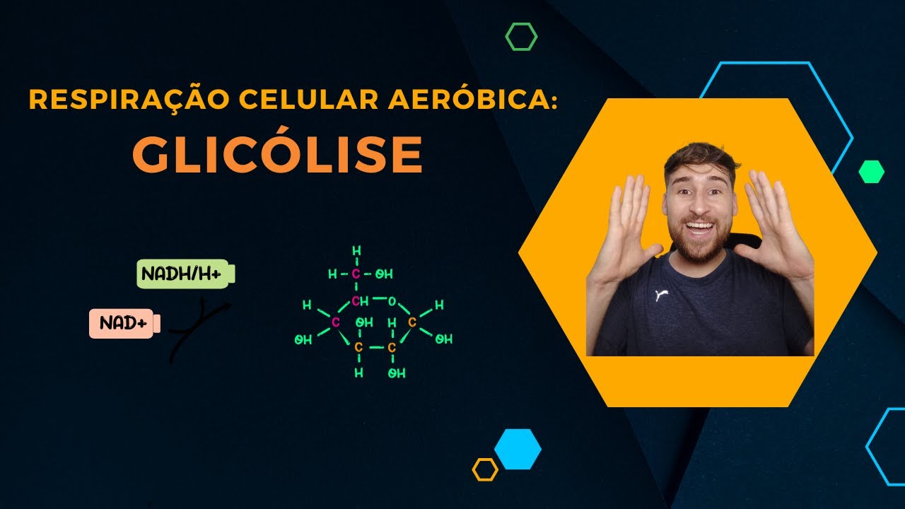 RESPIRAÇÃO CELULAR - GLICÓLISE - Prof. Diego Reinicke #education 