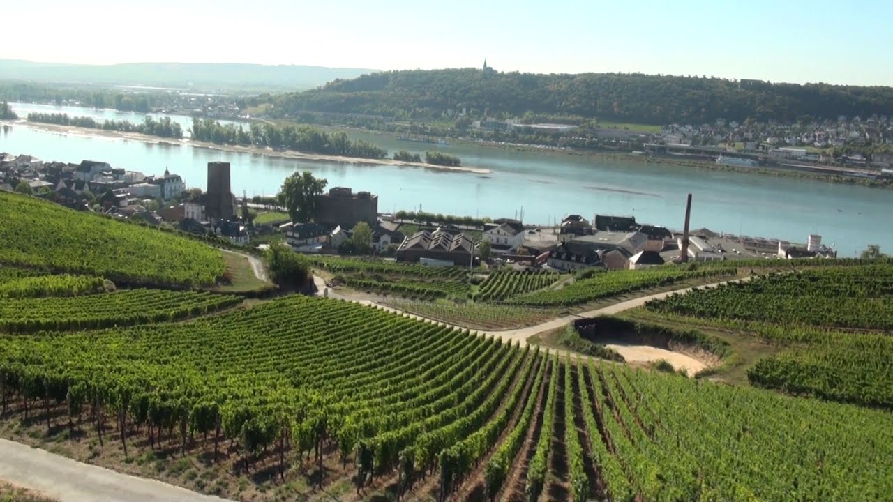 From Rüdesheim to Assmannshausen and back