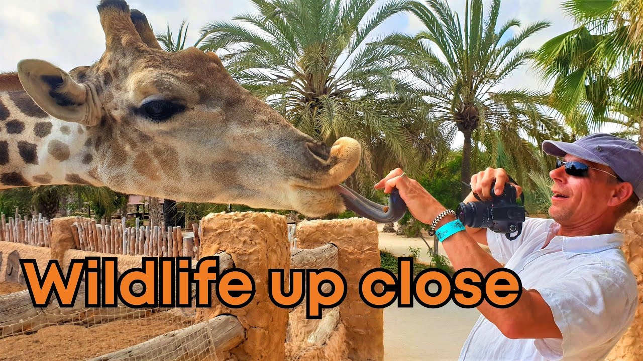 Exploring Rio Safari Elche: Europe's Premier Wildlife Park Experience