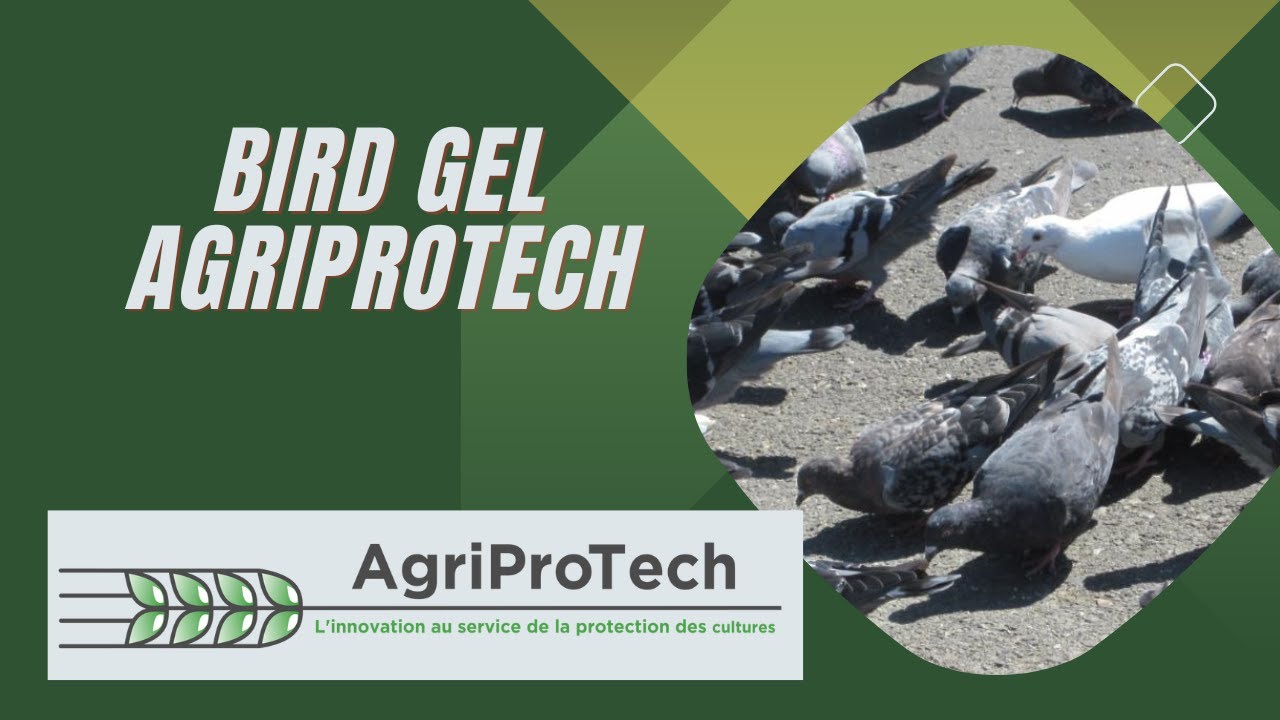 BirdGel AgriProTech demonstration