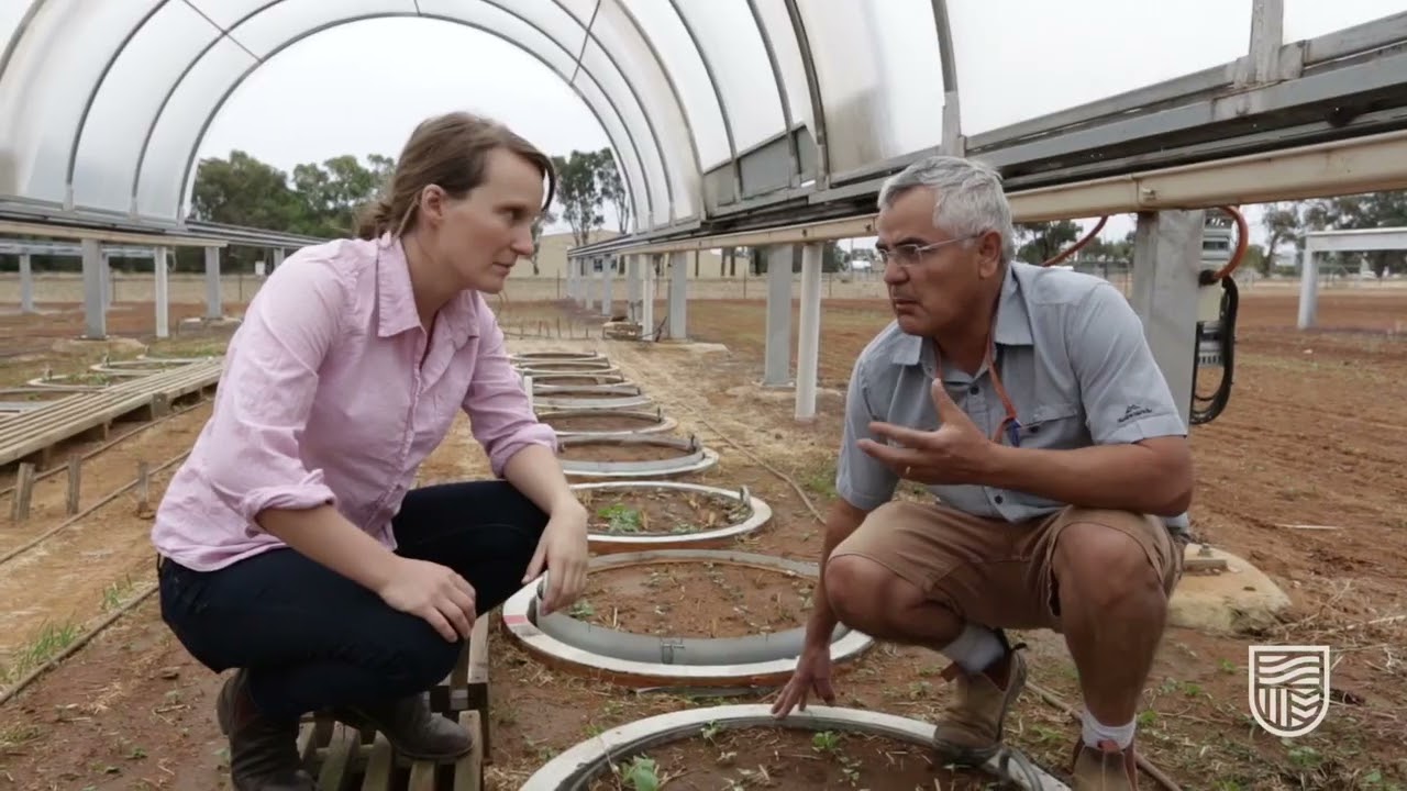 Diversity of careers in agriculture, it’s more than farming!